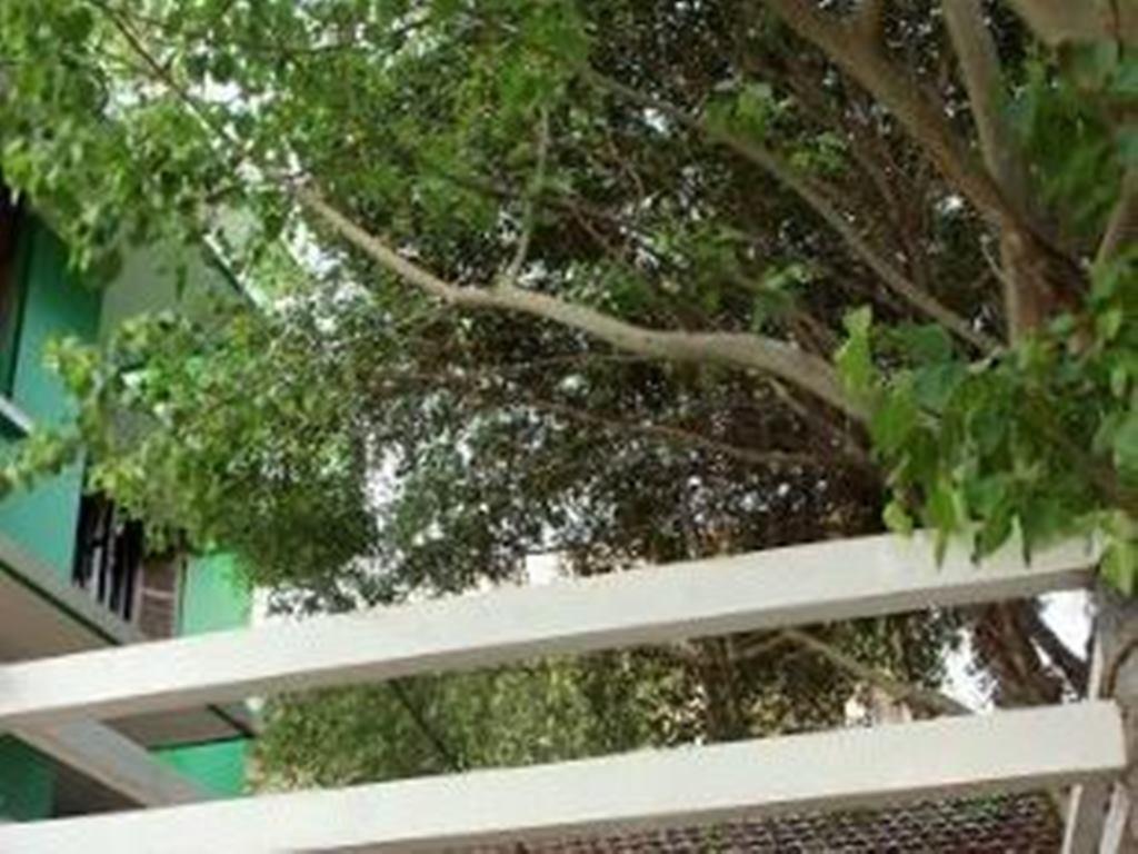 Thien Phu Hotel هوي المظهر الخارجي الصورة